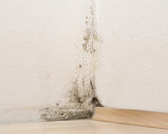 HET Likvisan biocídny prípravok proti plesniam a riasam - ukážka 1