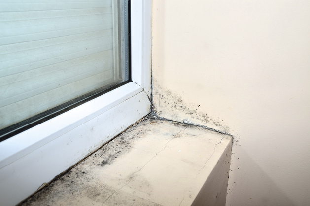 HET Likvisan biocídny prípravok proti plesniam a riasam - ukážka 2