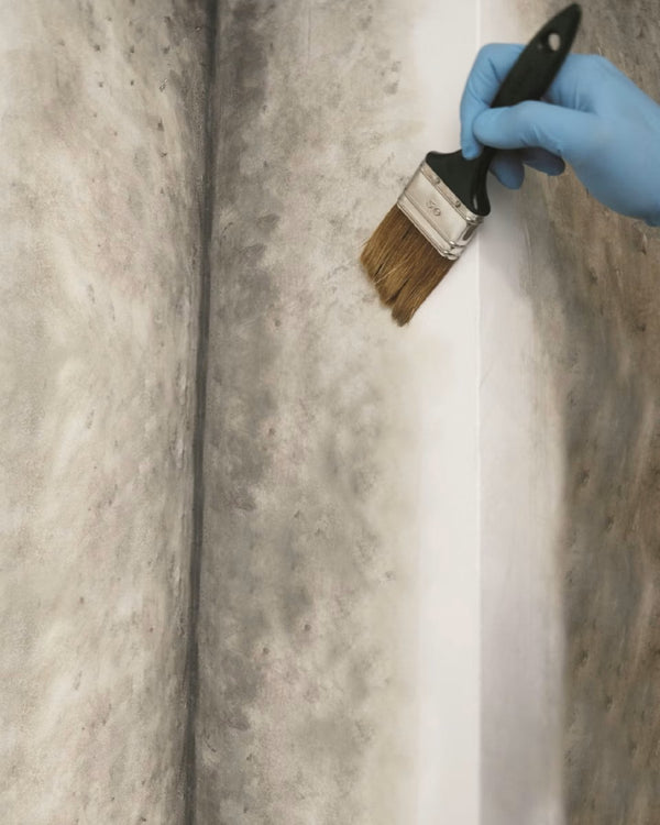 MAPEI Silancolor Cleaner Plus profesionálny čistič fasád a stien aplikácia
