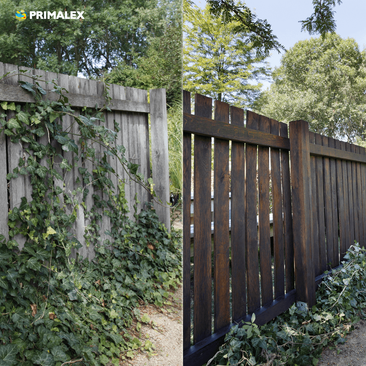 PRIMALEX LAZÚRA tenkovrstvá na drevo_aplikácia pred a po