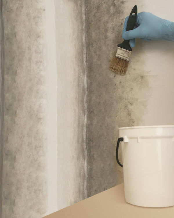 MAPEI Silancolor Primer Plus základný penetračný náter proti plesniam a riasam aplikácia